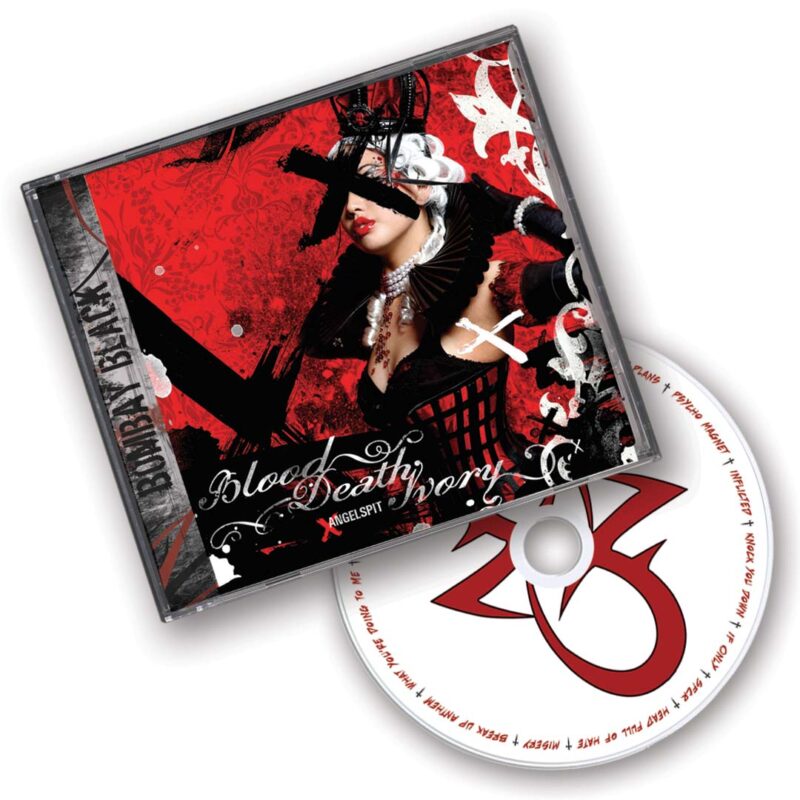 CDs in Jewel Cases - Image 2